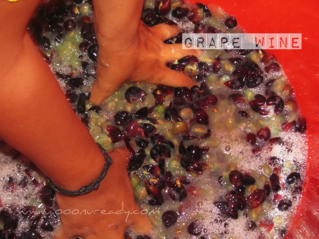 How to make home made grape wine