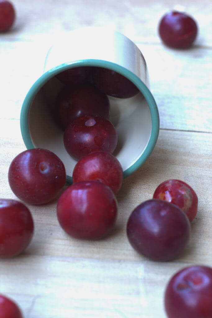 plum-2